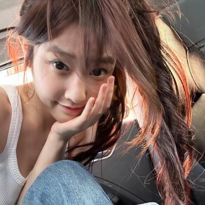 金刚斗恐龙