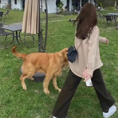 一梦如故